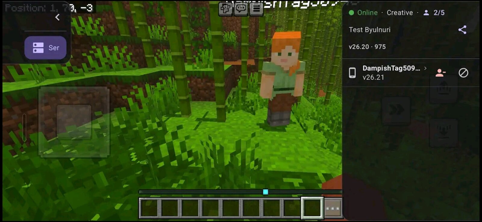 Live server panel